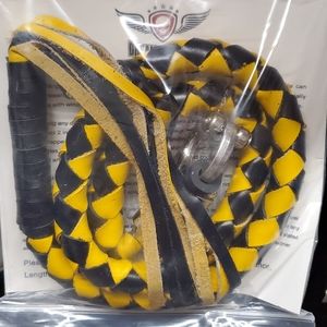 Motorcycle whips with pool ball or without